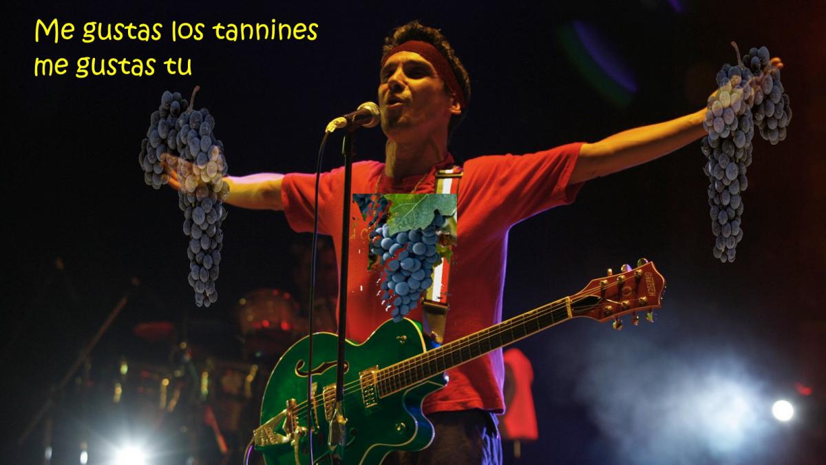 http://www.mag24.gr/o-manu-chao-%CE%B5%CF%80%CE%B9%CF%83%CF%84%CF%81%CE%AD%CF%86%CE%B5%CE%B9/french-singer-manu-chao-performs-in-la-paz-bolivia/