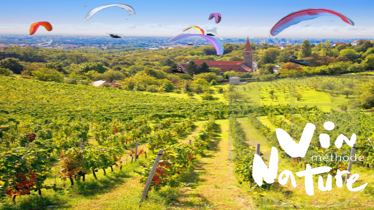 https://www.picfair.com/pics/09442397-zagreb-green-zone-church-and-vineyard-on-green-hill-above-croatian-capital
